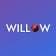 Willow Cricket