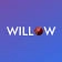 Willow Cricket